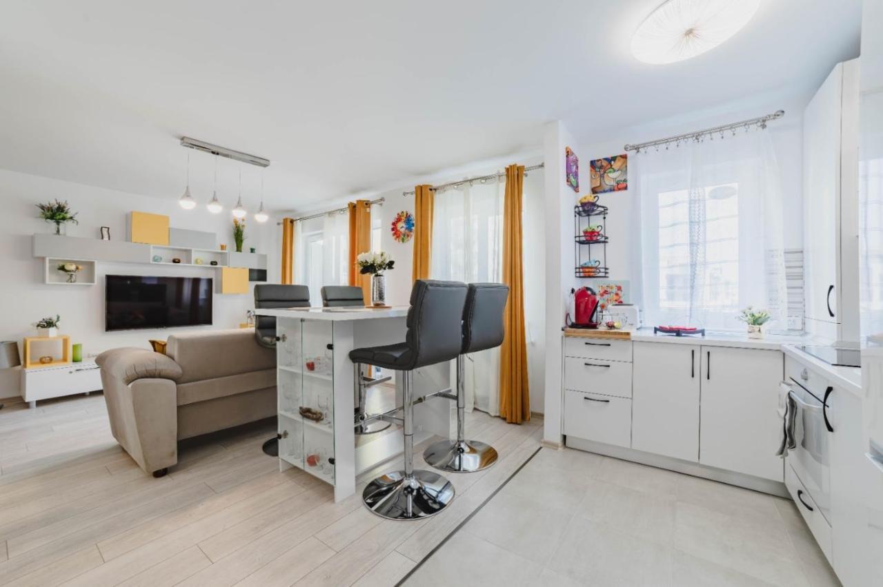 Masterpiece Studio- Free Parking, Wi-Fi, Netflix Braşov Extérieur photo